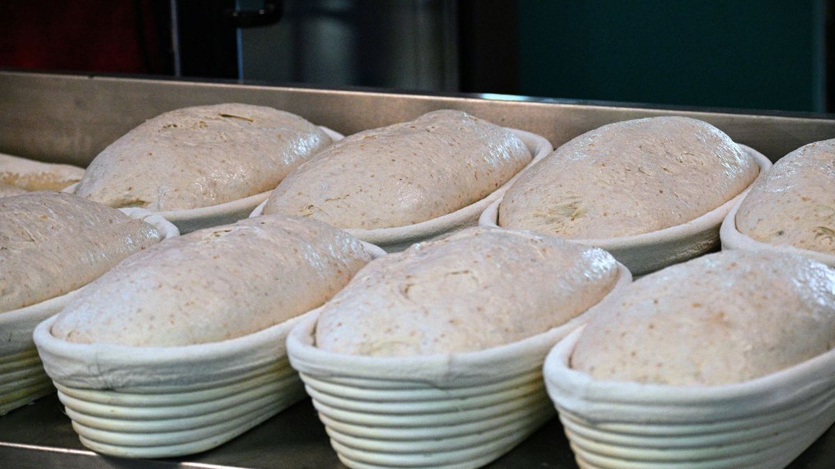 Sourdough loaves proofing in bannetons on a metal tray in a bakery, the slow work behind the sourdough trend.